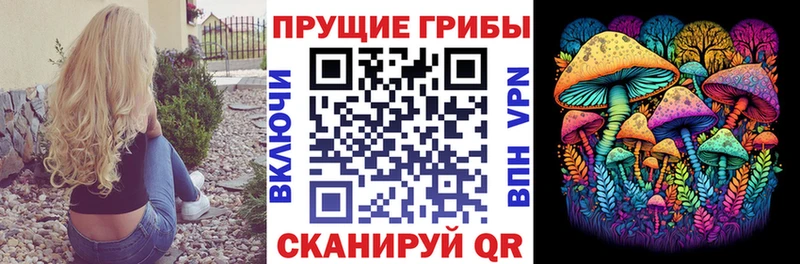 Псилоцибиновые грибы мицелий  магазин    Уфа 