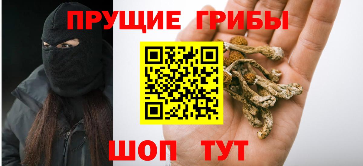 Псилоцибиновые грибы мухоморы  Вход с VPN  Псилоцибиновые грибы мухоморы  Уфа 